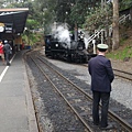 墨爾本/Puffing Billy