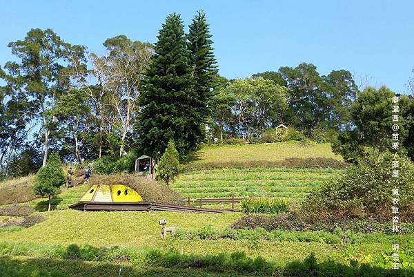 苗栗/薰衣草森林(明德店)