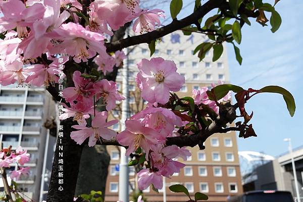 2016/04日本/埼玉 東橫INN 埼玉新都心