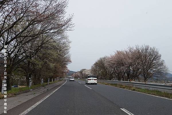 2016/04栃木/日光 前往明智平纜車站