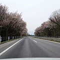 2016/04栃木/日光 前往明智平纜車站