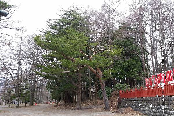 2016/04栃木/日光 二荒山神社中宮祠