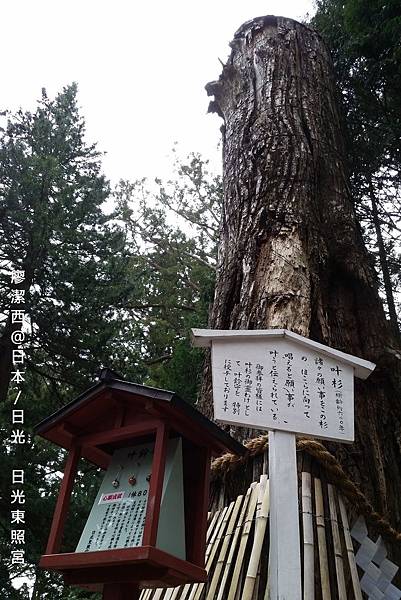 2016/04栃木/日光 東照宮