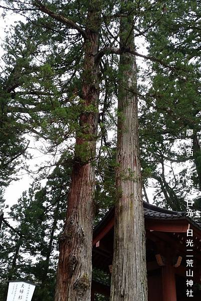 2016/04栃木/日光 二荒山神社