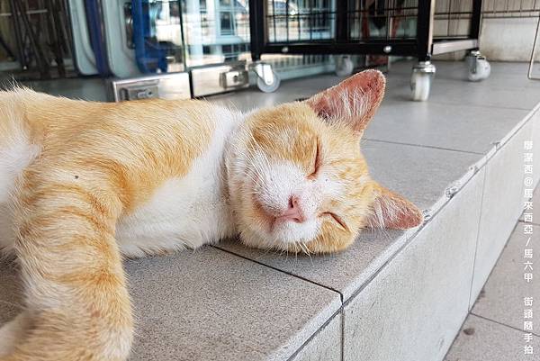 【馬來西亞/馬六甲】街頭隨手拍