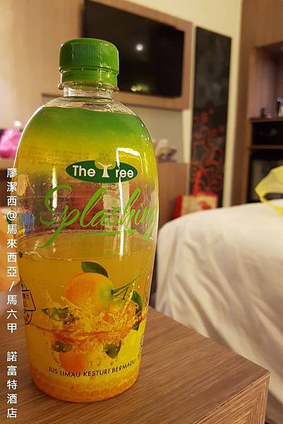 【馬來西亞/馬六甲】Novotel Melaka