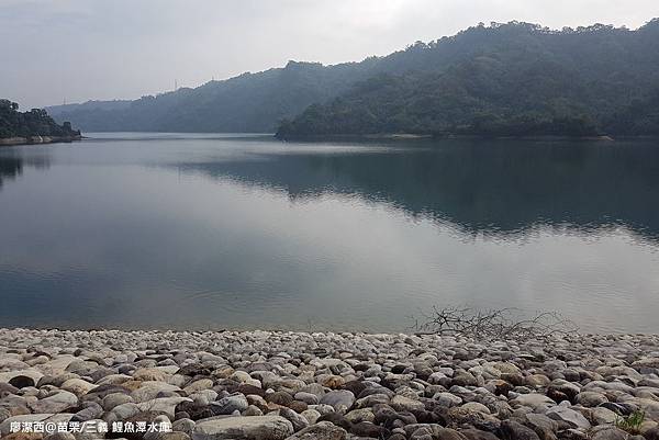 【苗栗/三義】鯉魚潭水庫