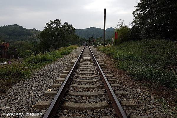 【苗栗/三義】龍騰斷橋