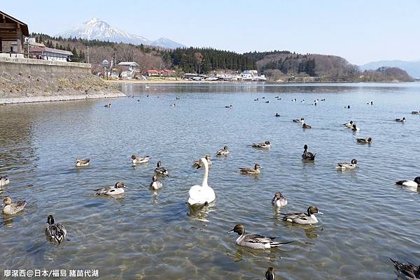 2016/04日本/福島 猪苗代湖