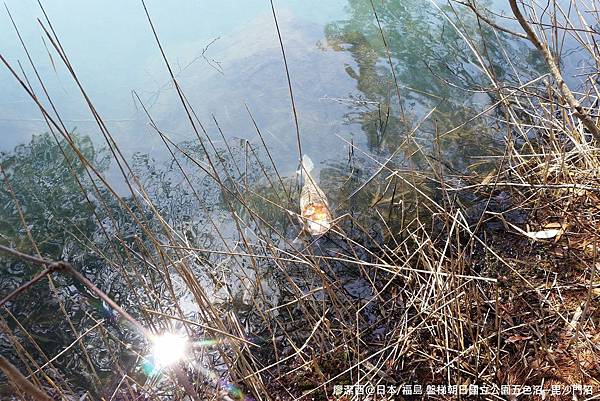 2016/04日本/福島 盤梯朝日国立公園五色沼湖沼區─毘沙門沼