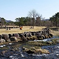 2016/04日本/福島 盤梯朝日国立公園─諸橋近代美術館