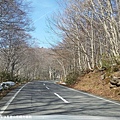 2016/04日本/福島 盤梯吾妻山岳觀光道路