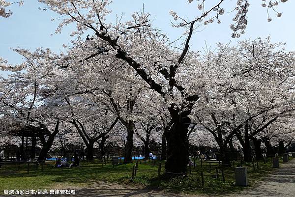 2016/04日本/福島 會津若松城