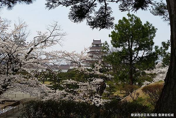 2016/04日本/福島 會津若松城