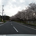 2016/04 日本/福島 三春瀧櫻