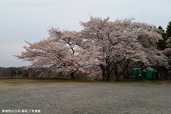 2016/04 日本/福島 三春瀧櫻