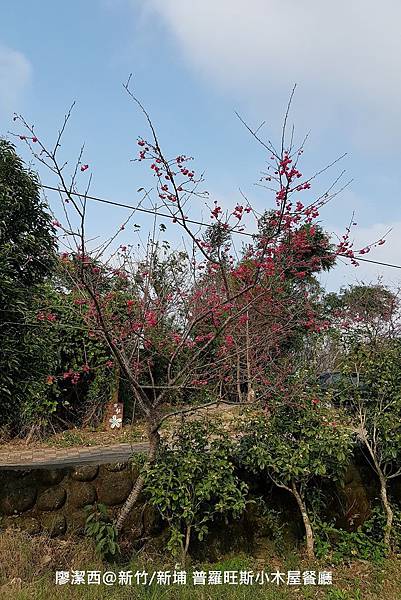 【新竹/新埔】普羅旺斯小木屋餐廳