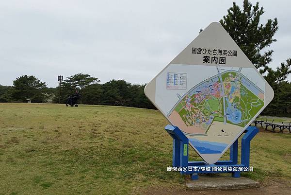 2016/04日本/茨城 国営ひたち海浜公園
