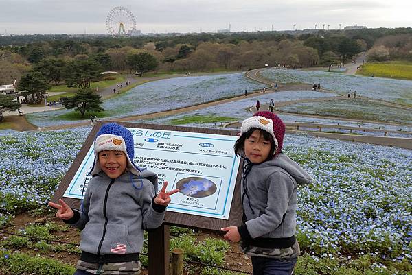 2016/04日本/茨城 国営ひたち海浜公園