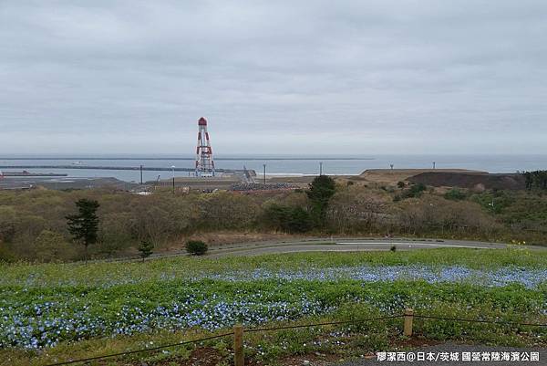 2016/04日本/茨城 国営ひたち海浜公園