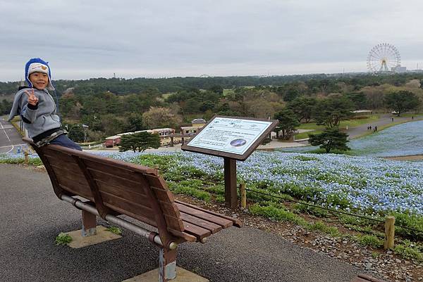 2016/04日本/茨城 国営ひたち海浜公園