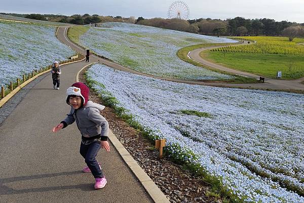 2016/04日本/茨城 国営ひたち海浜公園