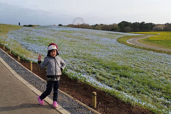 2016/04日本/茨城 国営ひたち海浜公園