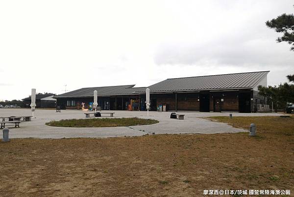 2016/04日本/茨城 国営ひたち海浜公園