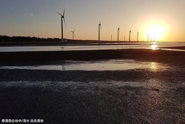 【台中/清水】高美濕地