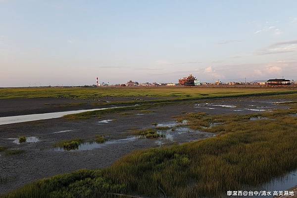 【台中/清水】高美濕地