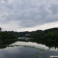 【新竹/峨嵋】細茅埔吊橋