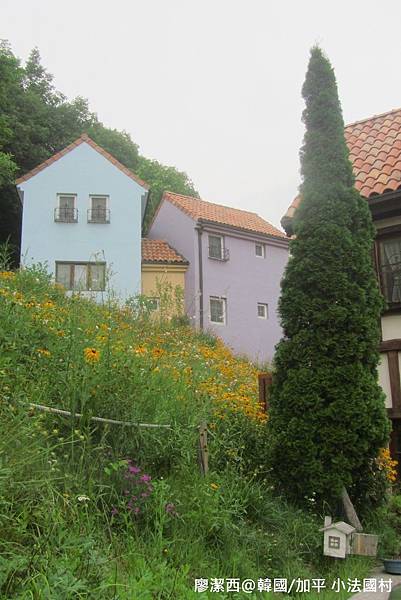 【韓國/加平】小法國村