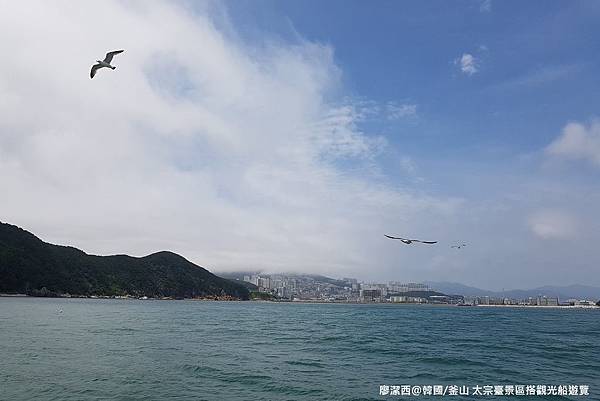 2017/07韓國/釜山 太宗臺景區搭觀光船遊覽