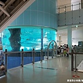 2017/07韓國/釜山 國立海洋博物館