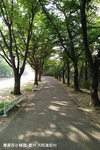 2017/07韓國/慶州 大明渡假村