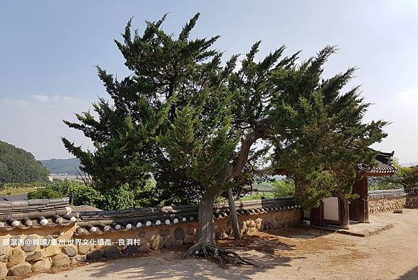 2017/07韓國/慶州 世界文化遺產--良洞村