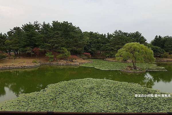 2017/07韓國/慶州 雁鴨池