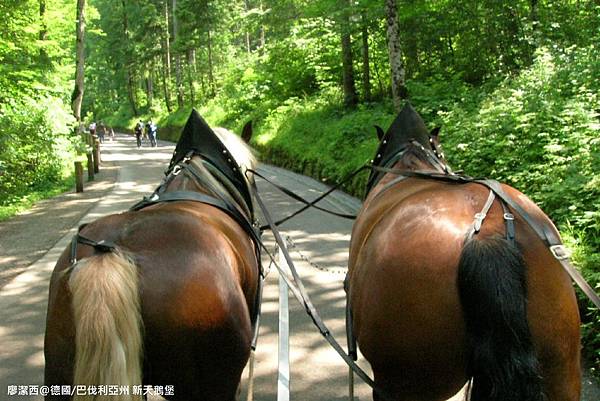 【德國/巴伐利亞州】新天鵝堡