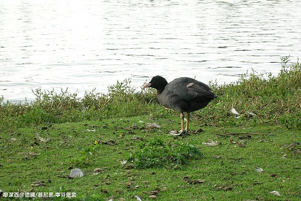 【德國/慕尼黑】寧芬堡宮