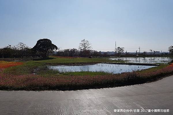 【台中/后里】2017臺中國際花毯節