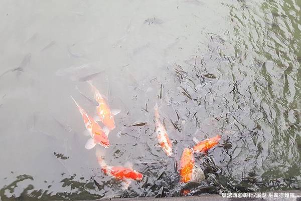 【彰化/溪湖】巫家捏麵館