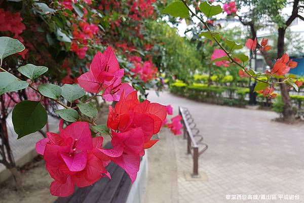 【高雄/鳳山區】平成砲台