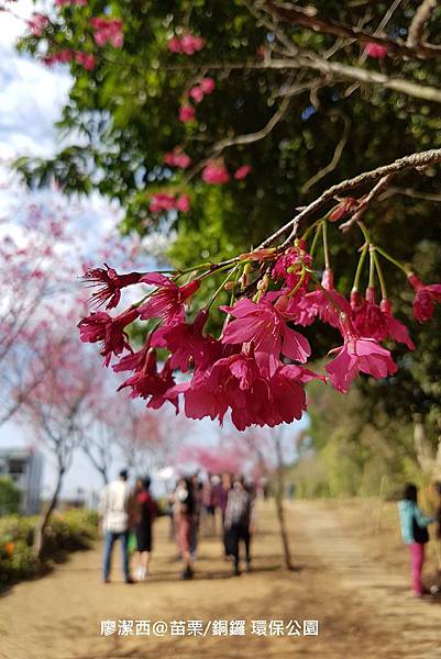 【苗栗/銅鑼】環保公園