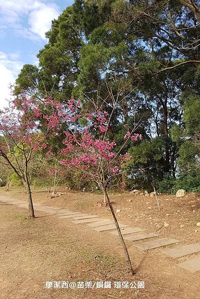 【苗栗/銅鑼】環保公園