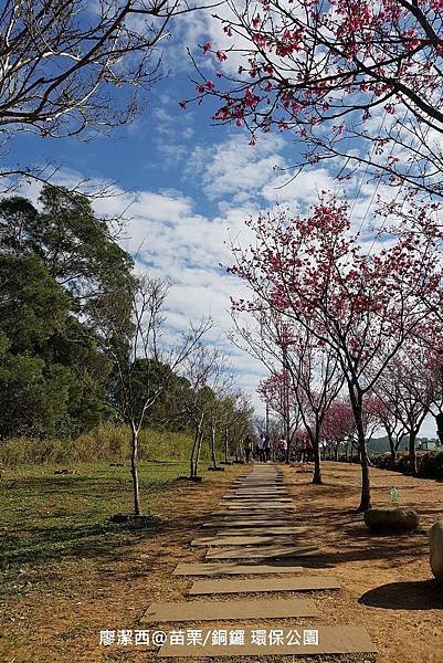 【苗栗/銅鑼】環保公園