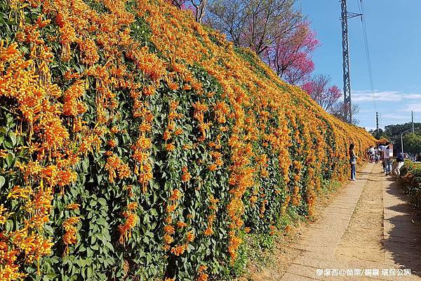 【苗栗/銅鑼】環保公園