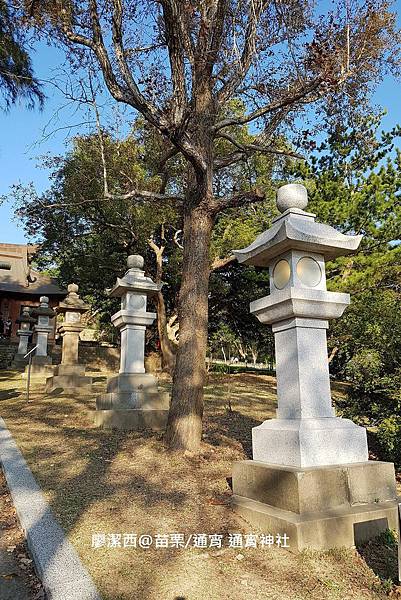 【苗栗/通宵】通宵神社