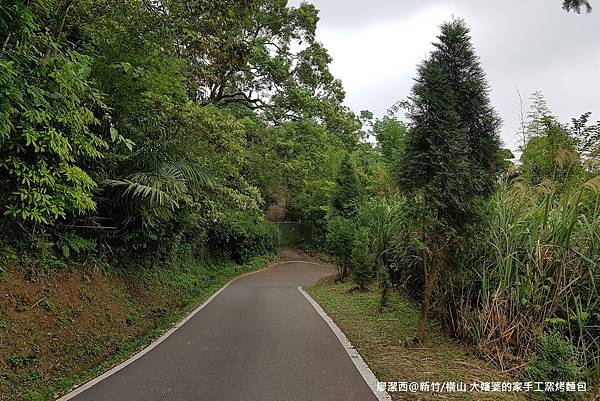 【新竹/橫山】大嬸婆的家手工窯烤麵包