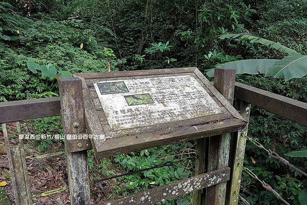 【新竹/橫山】顯伯公百年古廟