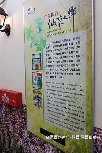 【新竹/關西】關西仙草巷